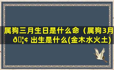 属狗三月生日是什么命（属狗3月 🦢 出生是什么(金木水火土)命）